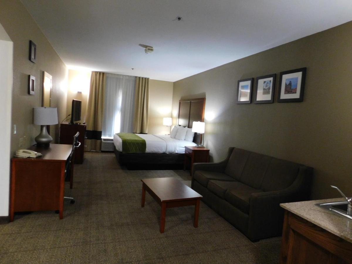 Comfort Inn & Suites Sacramento - University Area Екстериор снимка